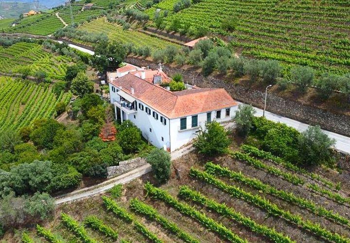 Farm i Lamego, Viseu, Lamego - € 1.840.000 | Ref: KWPT-016067 - foto 1
