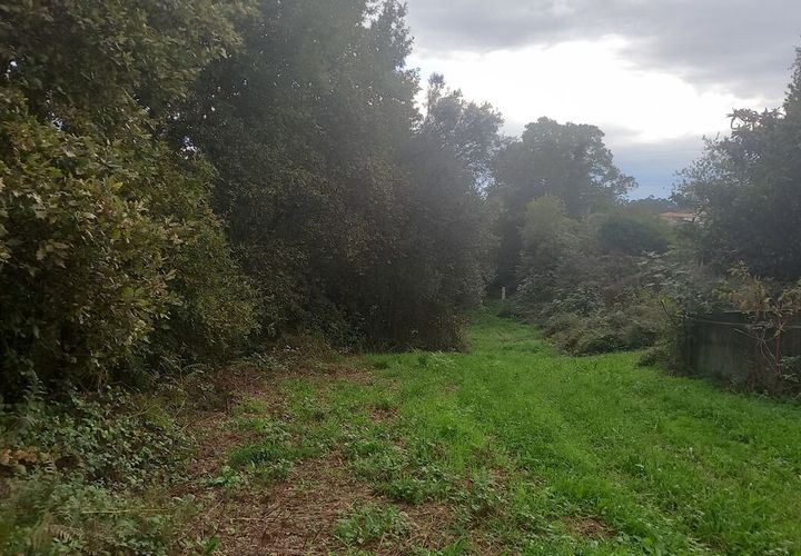 Farm i Moncao, Viana do Castelo, Moncao - € 400.000 | Ref: SF-SAFTI:007501 - foto 1