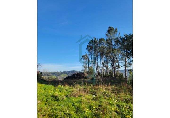 Helårsgrund i Alcobaca, Leiria, Alcobaca - € 44.900 | Ref: GIRACHAVE_4 - foto 1