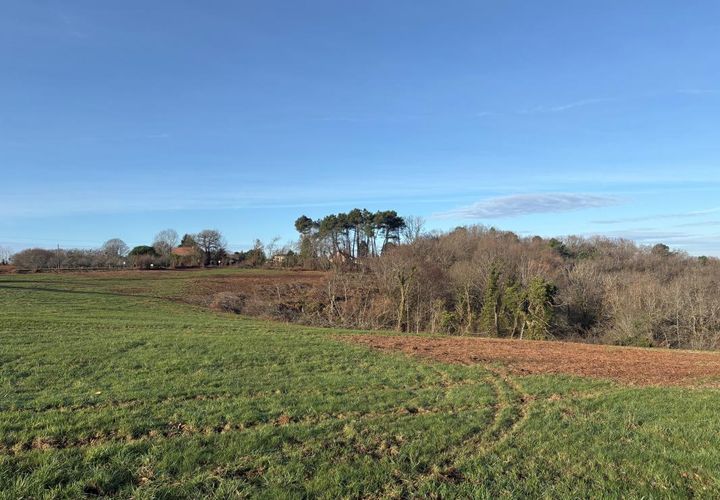 Helårsgrund i Coursac, Dordogne, Coursac - € 57.000 | Ref: BOEP70 - foto 1