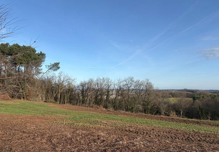 Terra a Coursac, Dordogne, Coursac - € 47.000 | Ref: BOEP68 - foto 1