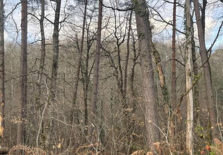 Helårsgrund i Chancelade, Dordogne, Chancelade - € 41.800 | Ref: BOMD049 - foto 1