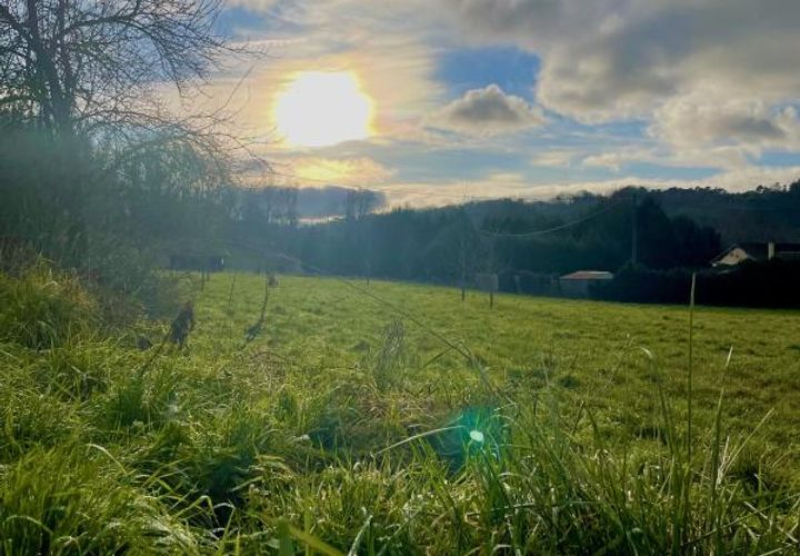 Terra a Chancelade, Dordogne, Chancelade - € 40.000 | Ref: BOMD048 - foto 1