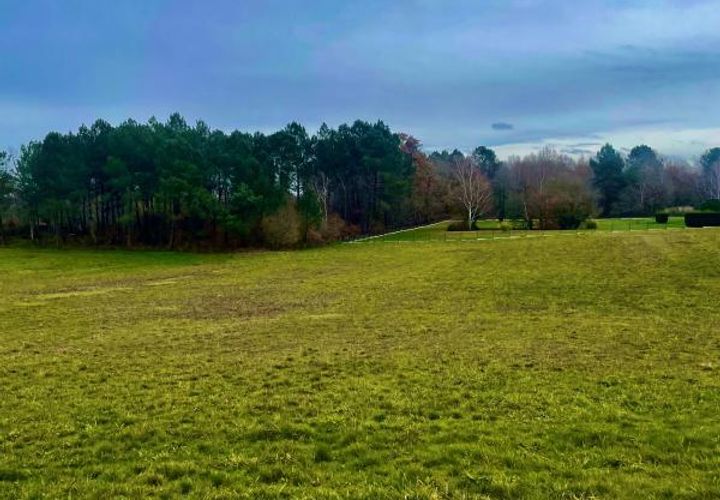 Terra a Limeyrat, Dordogne, Limeyrat - € 45.000 | Ref: BOMD045 - foto 1