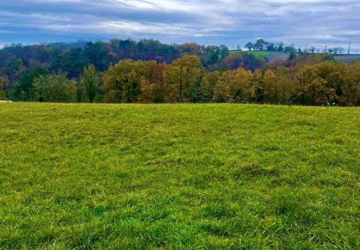 Terra a Trelissac, Dordogne, Trelissac - € 80.000 | Ref: BOMD044 - foto 1