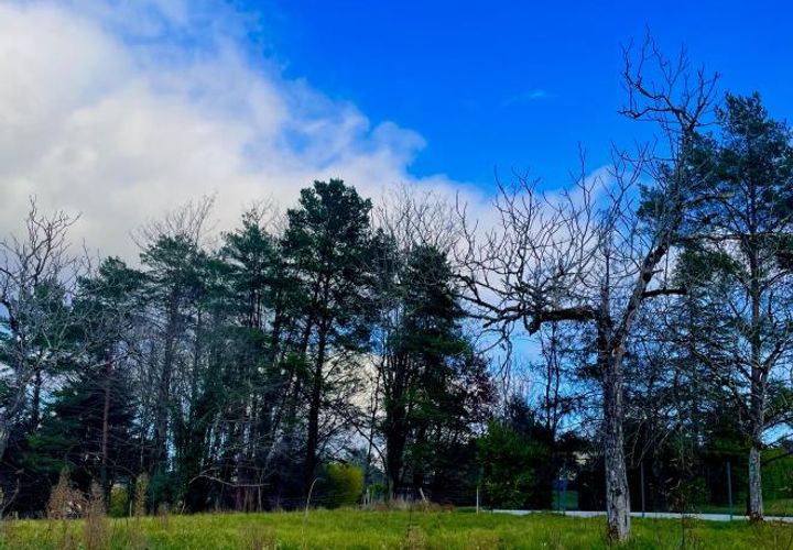 Terra a Champcevinel, Dordogne, Champcevinel - € 65.000 | Ref: BOMD042 - foto 1