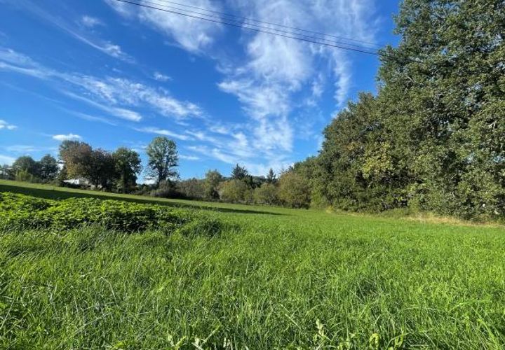Terra a Trelissac, Dordogne, Trelissac - € 84.330 | Ref: BOMD032 - foto 1