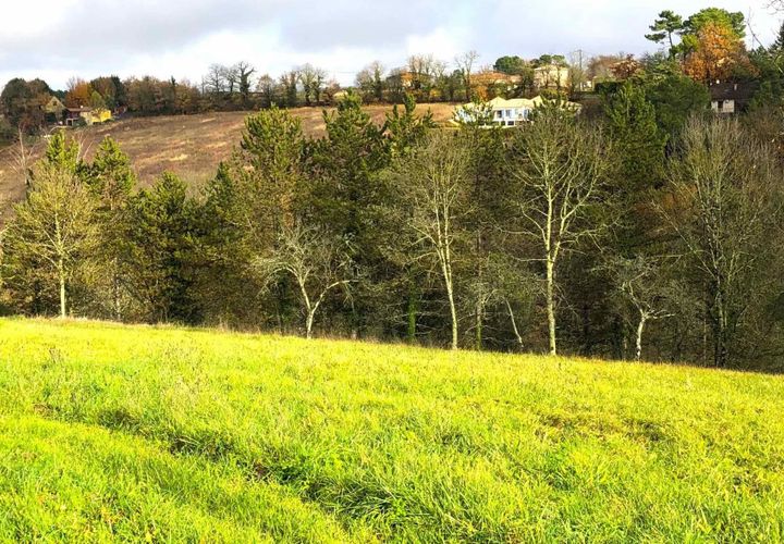 Helårsgrund i Coursac, Dordogne, Coursac - € 39.000 | Ref: BOEP40 - foto 1