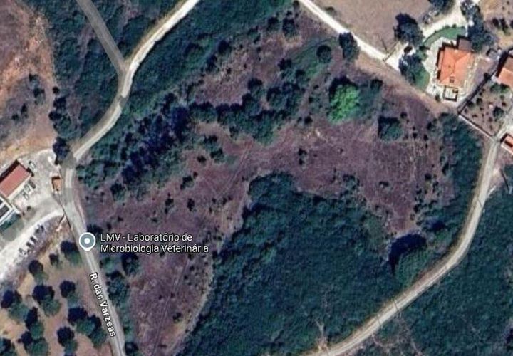 Terra a Santarem, Santarem, Santarem - € 70.000 | Ref: 774351 - foto 1