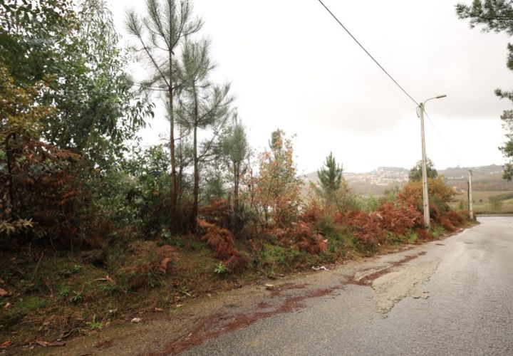 Helårsgrund i Lousada, Porto, Lousada - € 65.000 | Ref: TER_163 - foto 1