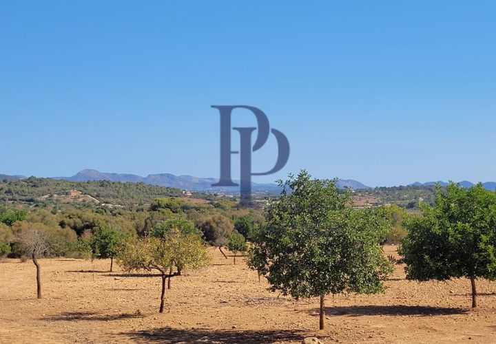 Terra a Manacor, Mallorca, Manacor - € 390.000 | Ref: PM-0051 - foto 1