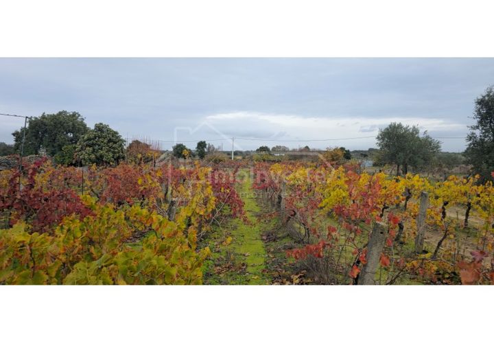 Terra a Alcains, Castelo Branco, Alcains - € 50.000 | Ref: SÒL_1134 - foto 1