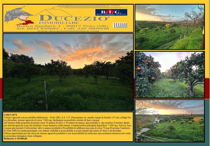 Helårsgrund i Noto, Siracusa, Noto - € 45.000 | Ref: V187T - foto 1