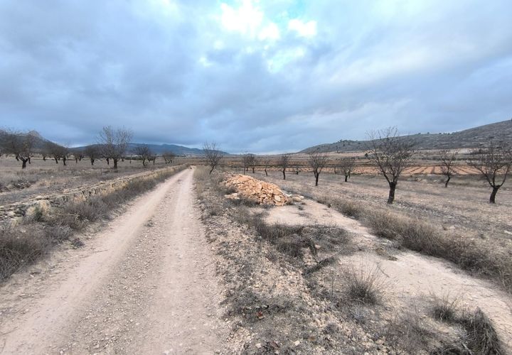 Terra a La Solana, Alicante, La Solana - € 25.900 | Ref: 70094 - foto 1