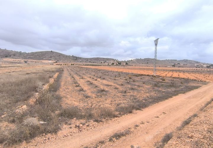 Terra a La Solana, Alicante, La Solana - € 34.900 | Ref: 70090 - foto 1