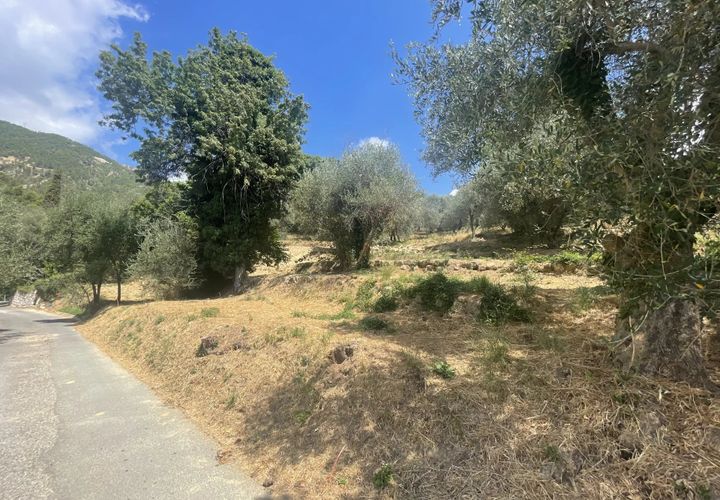 Terra a Coaraze, Alpes-Maritimes, Coaraze - € 159.000 | Ref: 85461384 - foto 1