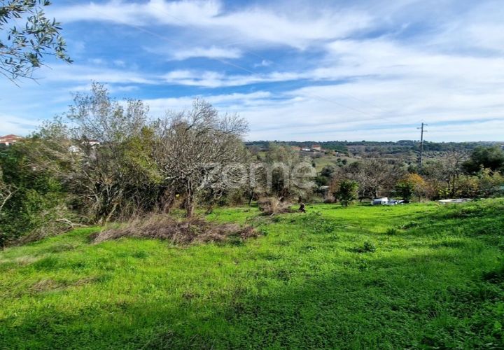 Helårsgrund i Assentiz, Santarem, Assentiz - € 32.000 | Ref: ZMPT583809 - foto 1