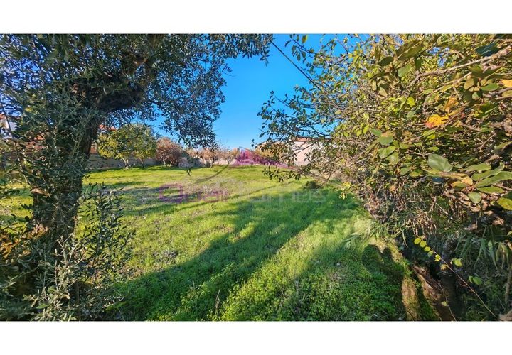 Helårsgrund i Tomar, Santarem, Tomar - € 28.000 | Ref: 2475 - foto 1