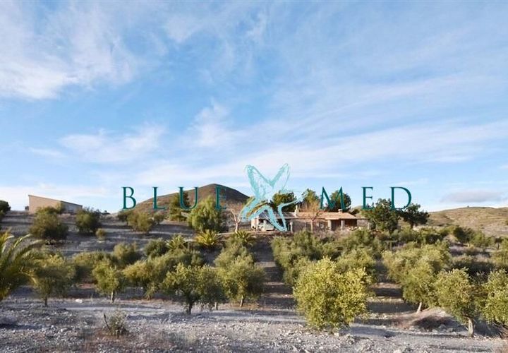 Landejendom i Lorca, Murcia, Lorca - € 359.000 | Ref: LORCAOLIVES/10254 - foto 1