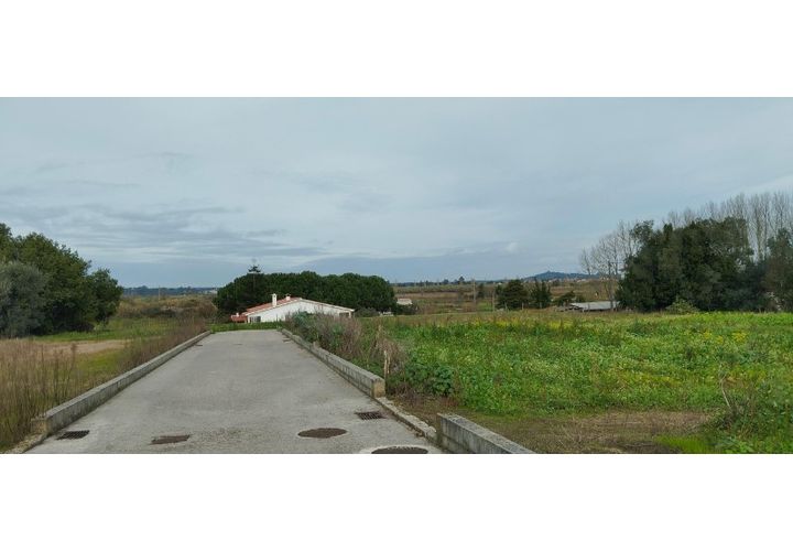 Tomt i Monte Real, Leiria, Monte Real - € 30 000 | Ref: MM126 - foto 1