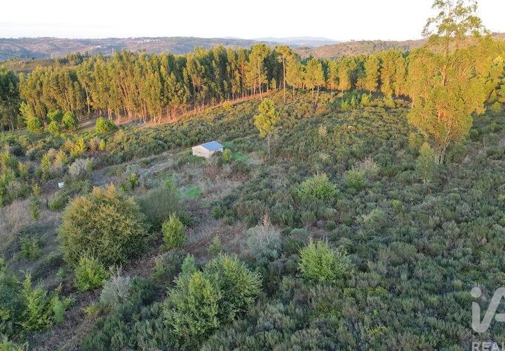 Terra a Seia, Guarda, Seia - € 42.500 | Ref: 130390 - foto 1