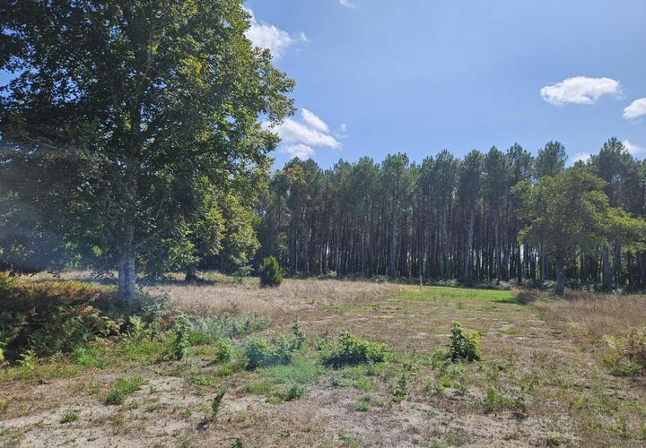 Terra a Martillac, Gironde, Martillac - € 175.090 | Ref: JLF-MARTMB-39 - foto 1