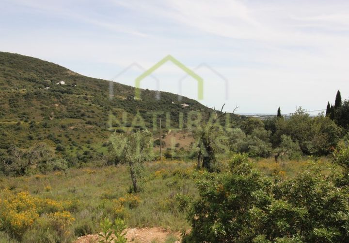 Helårsgrund i Estoi, Faro, Estoi - € 92.000 | Ref: TER_2611_VEND - foto 1