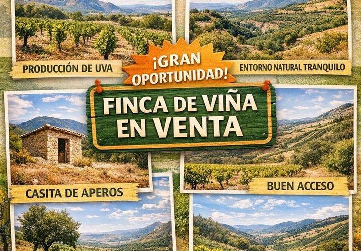 Terreno Frailes, Jaen, Frailes - € 7.000 | Ref: finca/5750 - photo 1