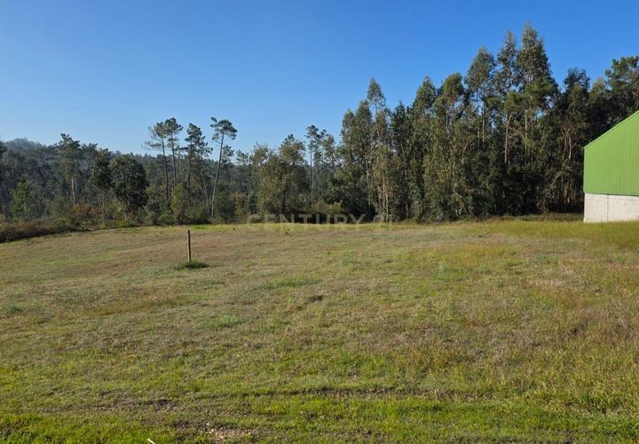 Helårsgrund i Soure, Coimbra, Soure - € 35.000 | Ref: C0381-00853 - foto 1