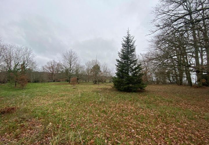 Terra a Vergt, Dordogne, Vergt - € 29.500 | Ref: BOBC36 - foto 1