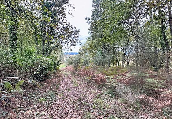 Helårsgrund i Ganfei, Viana do Castelo, Ganfei - € 14.000 | Ref: 2743 - foto 1