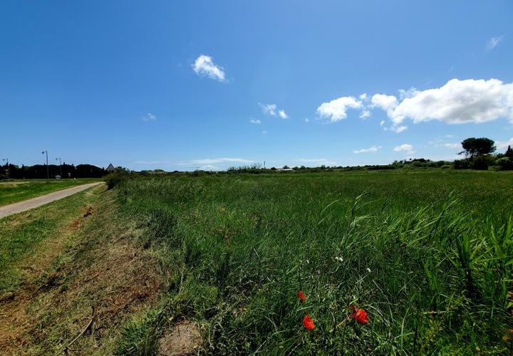 Terra a Marseillan, Herault, Marseillan - € 124.000 | Ref: 34-MARS-TV-84 - foto 1