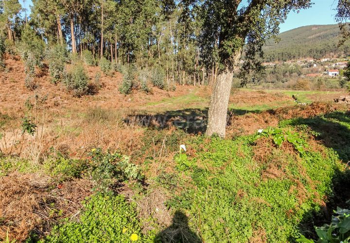 Helårsgrund i Barcelos, Braga, Barcelos - € 67.500 | Ref: 254260191 - foto 1