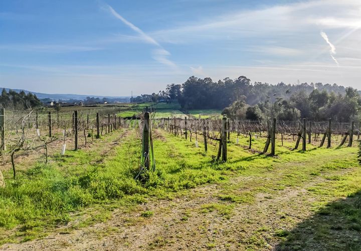 Helårsgrund i Barcelos, Braga, Barcelos - € 435.000 | Ref: 254260195 - foto 1