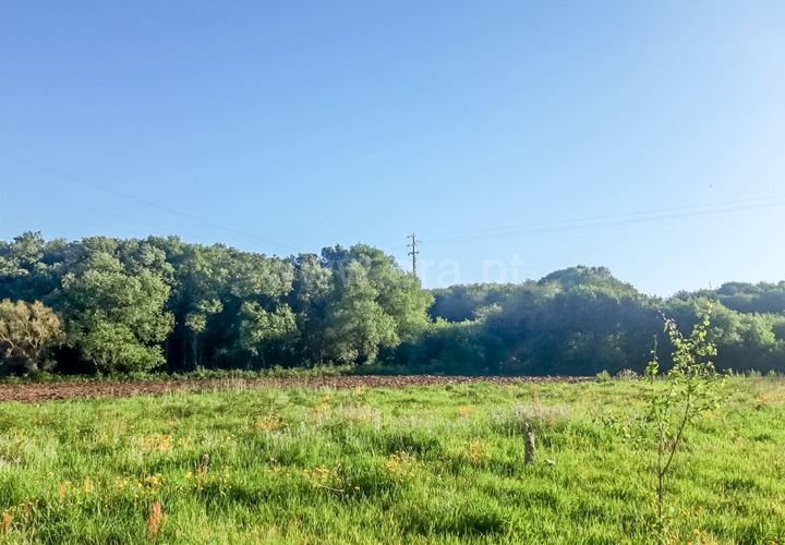 Helårsgrund i Esposende, Braga, Esposende - € 9.500 | Ref: 254260196 - foto 1