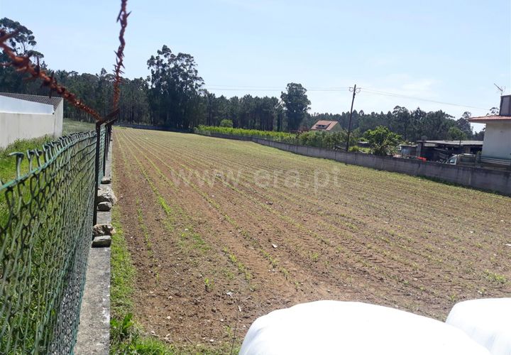 Helårsgrund i Barcelos, Braga, Barcelos - € 125.000 | Ref: 254260068 - foto 1