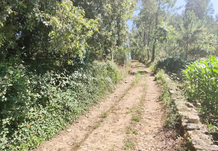Helårsgrund i Barcelos, Braga, Barcelos - € 130.000 | Ref: 254260072 - foto 1