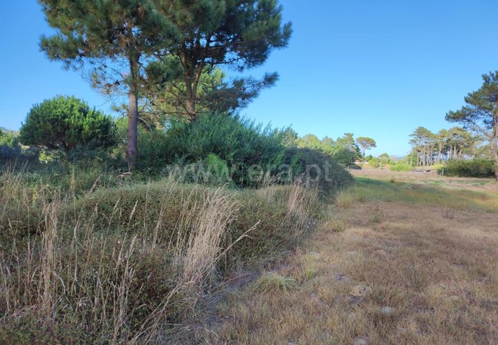 Helårsgrund i Esposende, Braga, Esposende - € 30.000 | Ref: 254260202 - foto 1