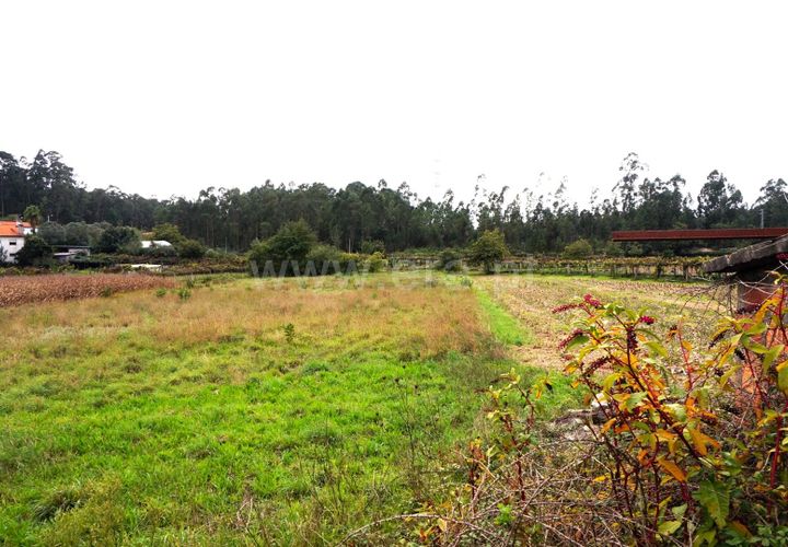 Helårsgrund i Barcelos, Braga, Barcelos - € 42.500 | Ref: 254260184 - foto 1