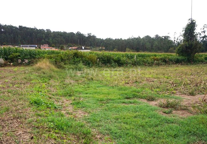 Helårsgrund i Barcelos, Braga, Barcelos - € 28.000 | Ref: 254260186 - foto 1
