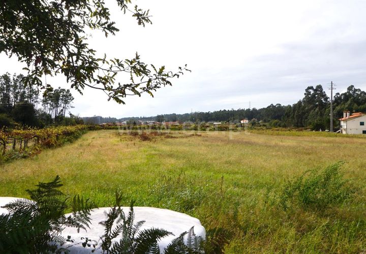 Helårsgrund i Barcelos, Braga, Barcelos - € 220.000 | Ref: 254260185 - foto 1