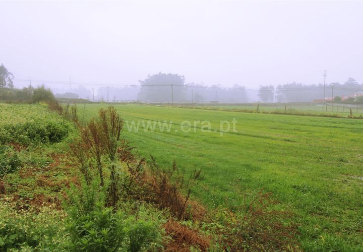 Helårsgrund i Barcelos, Braga, Barcelos - € 120.000 | Ref: 254260117 - foto 1