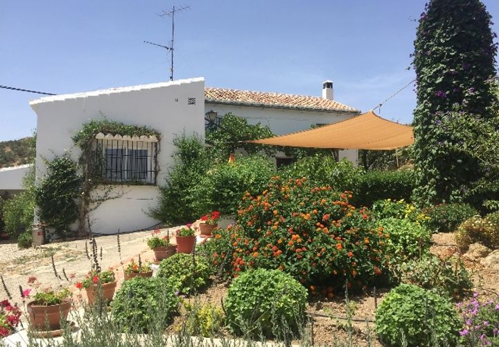 Landejendom i Antequera, Malaga, Antequera - € 495.000 | Ref: 947 - foto 1