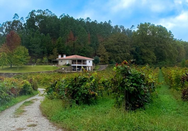 Farm i Parada do Bouro, Braga, Parada do Bouro - € 799.000 | Ref: KWPT-025843 - foto 1