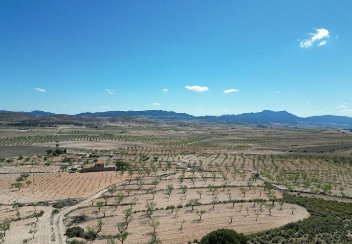 Helårsgrund i Pinoso, Alicante, Pinoso - € 34.950 | Ref: IZ-214-EXIZ - foto 1