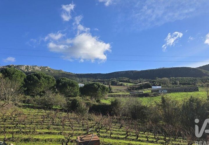Terra a Cadaval, Lisbon, Cadaval - € 65.000 | Ref: 781614 - foto 1