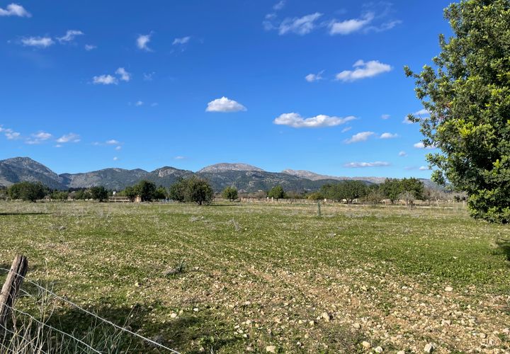 Terra a Moscari, Mallorca, Moscari - € 519.000 | Ref: 83024 - foto 1