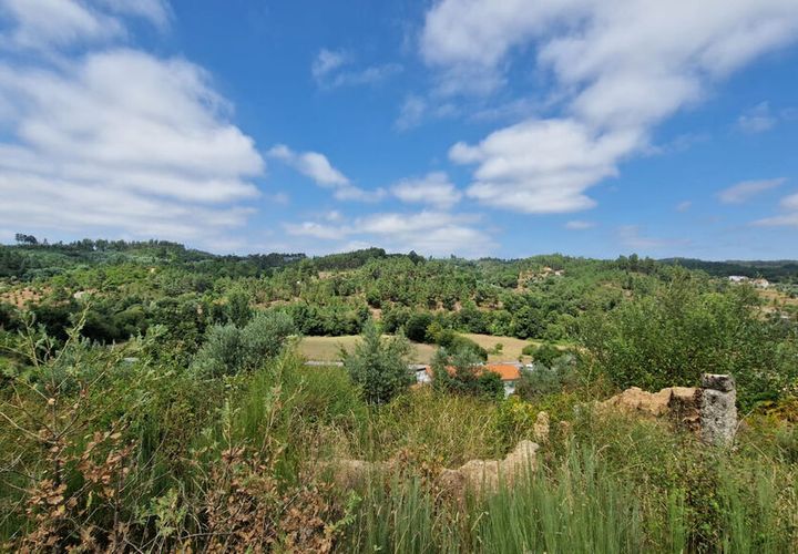 Terra a Tabua, Coimbra, Tabua - € 34.500 | Ref: 61668 - foto 1