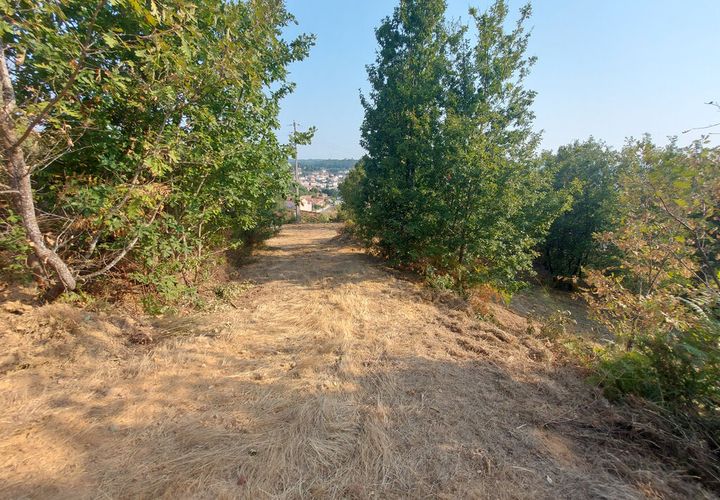 Helårsgrund i Arganil, Coimbra, Arganil - € 22.500 | Ref: 65848 - foto 1