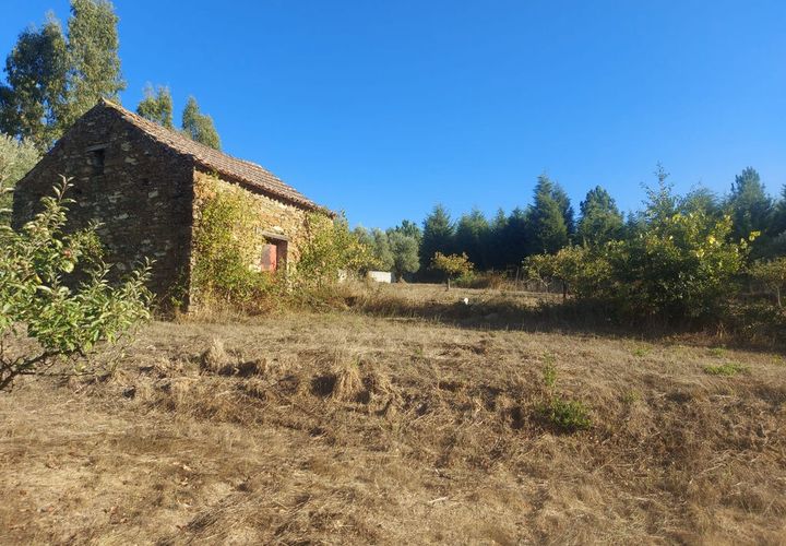 Terra a Arganil, Coimbra, Arganil - € 47.500 | Ref: 66111 - foto 1